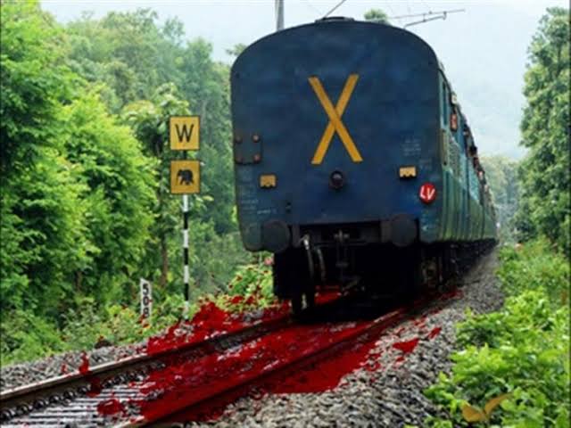 मानसिक रूप से बीमार बुजुर्ग की ट्रेन इंजन की चपेट में आने से मौत, जीआरपी ने परिजनों को दी सूचना