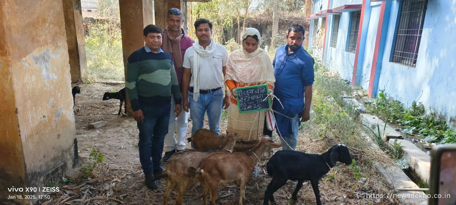 बकरी वितरण योजना में अनियमितता, भ्रष्टाचार की भेंट चढ़ रही किसानों की उम्मीदें