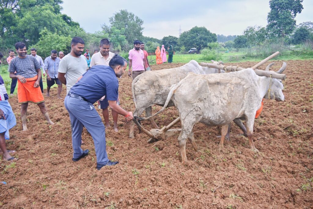 गिरिडीह में डीसी रामनिवास यादव ने खेत में चलाया हल, किसानों संग किया संवाद