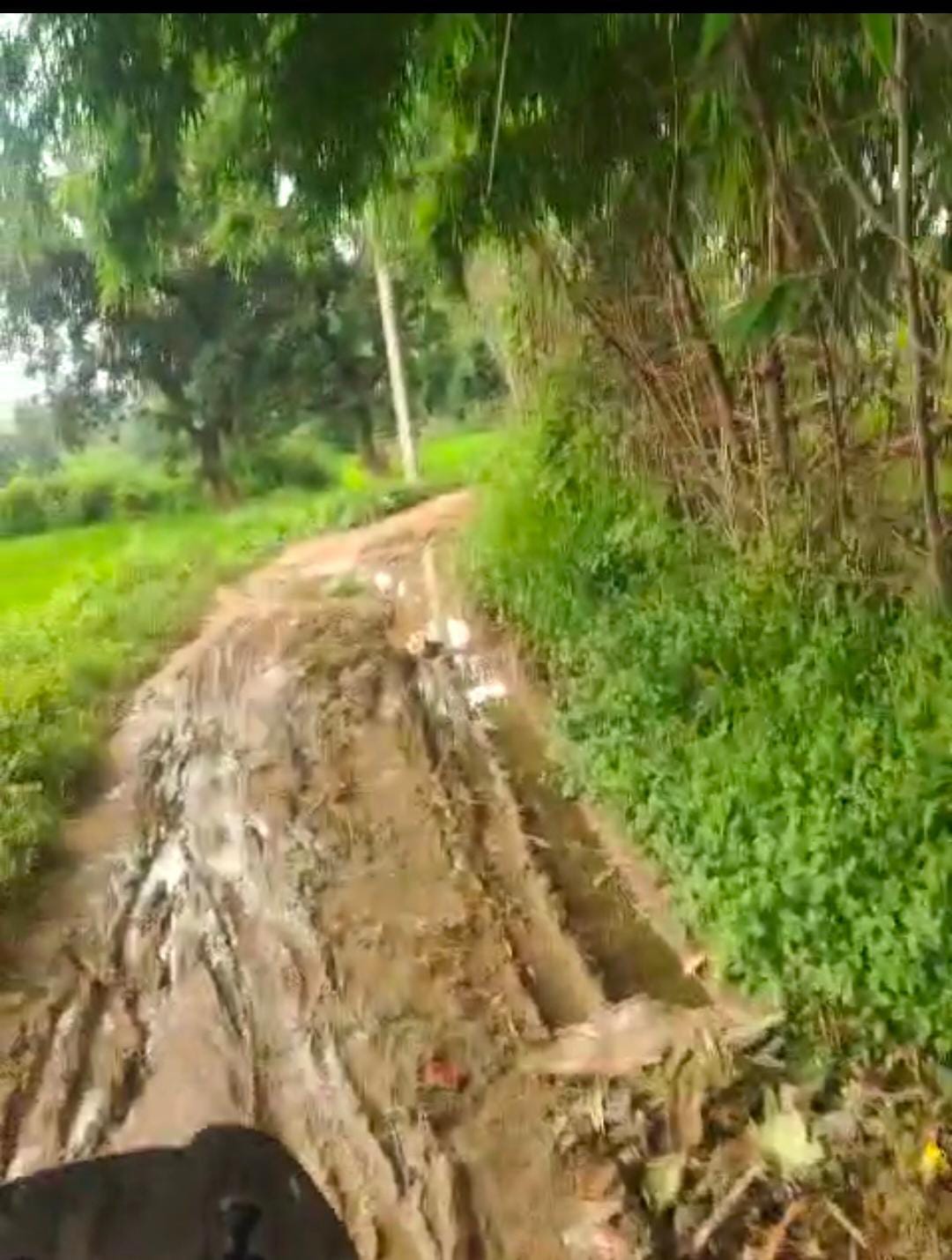 केचकी पंचायत में जर्जर कच्ची सड़क से ग्रामीण परेशान, पीसीसी पथ निर्माण की मांग