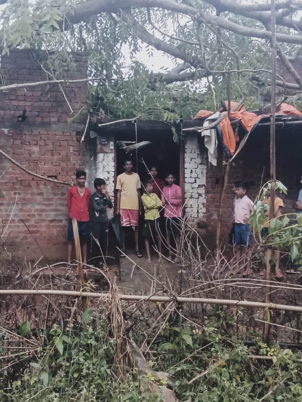 तेज बारिश और आंधी में गिरे पेड़ से पोखरिया कोयरिटोला का कच्चा मकान ध्वस्त परिवार बेघर हुआ
