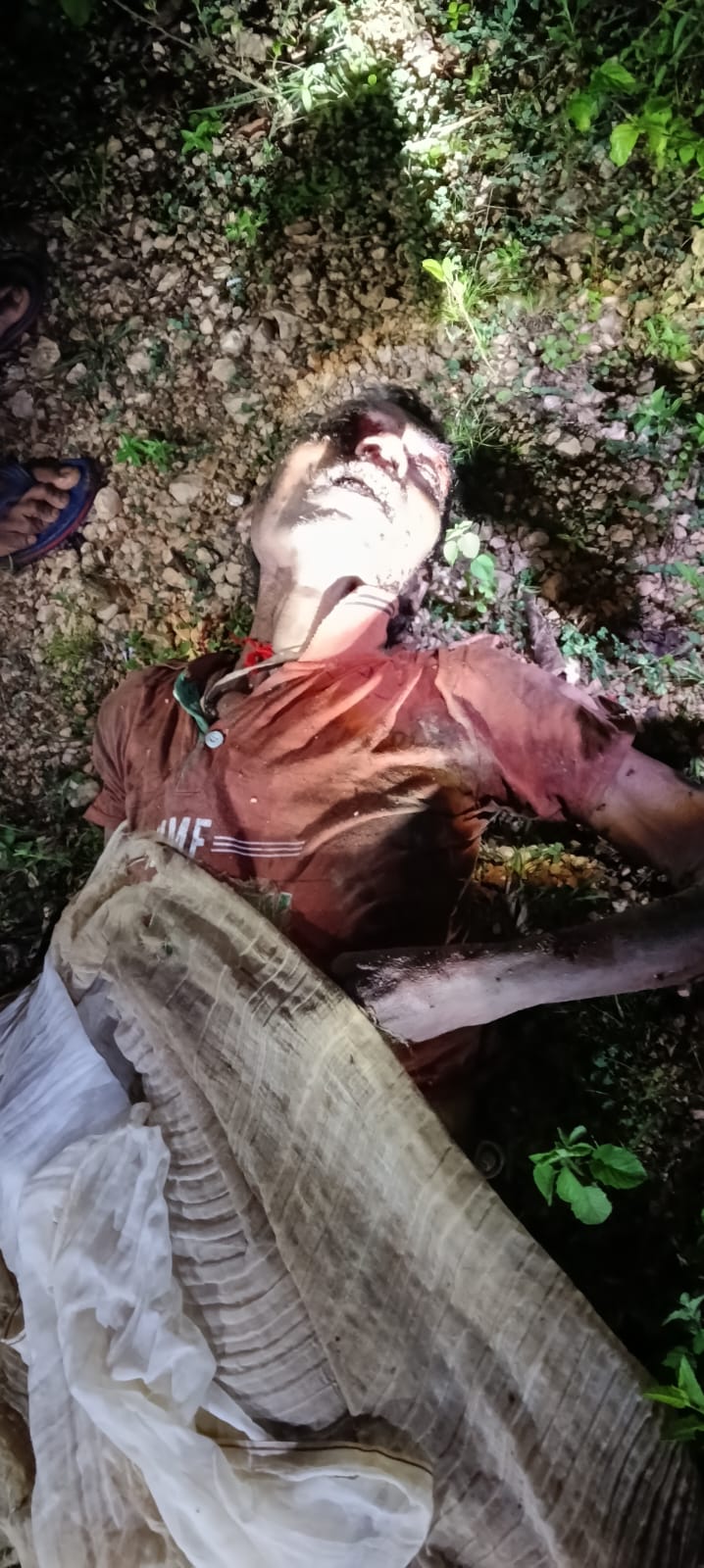 जंगली हाथी के हमले से मतनाग गांव में 60 वर्षीय ग्रामीण की दर्दनाक मौत