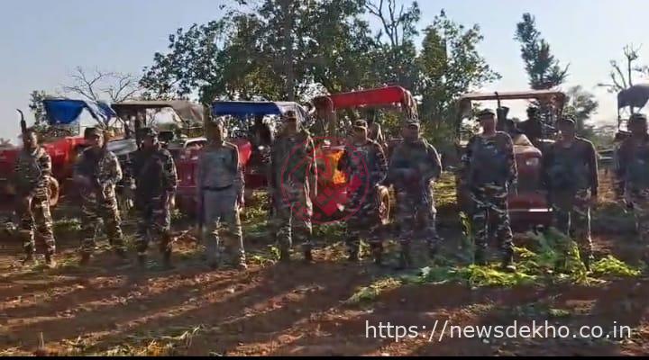 लावालौंग में अफीम खेती पर कड़ा प्रहार, 50 ट्रैक्टर और 3 कंपनी फोर्स के साथ विनष्टीकरण अभियान शुरू