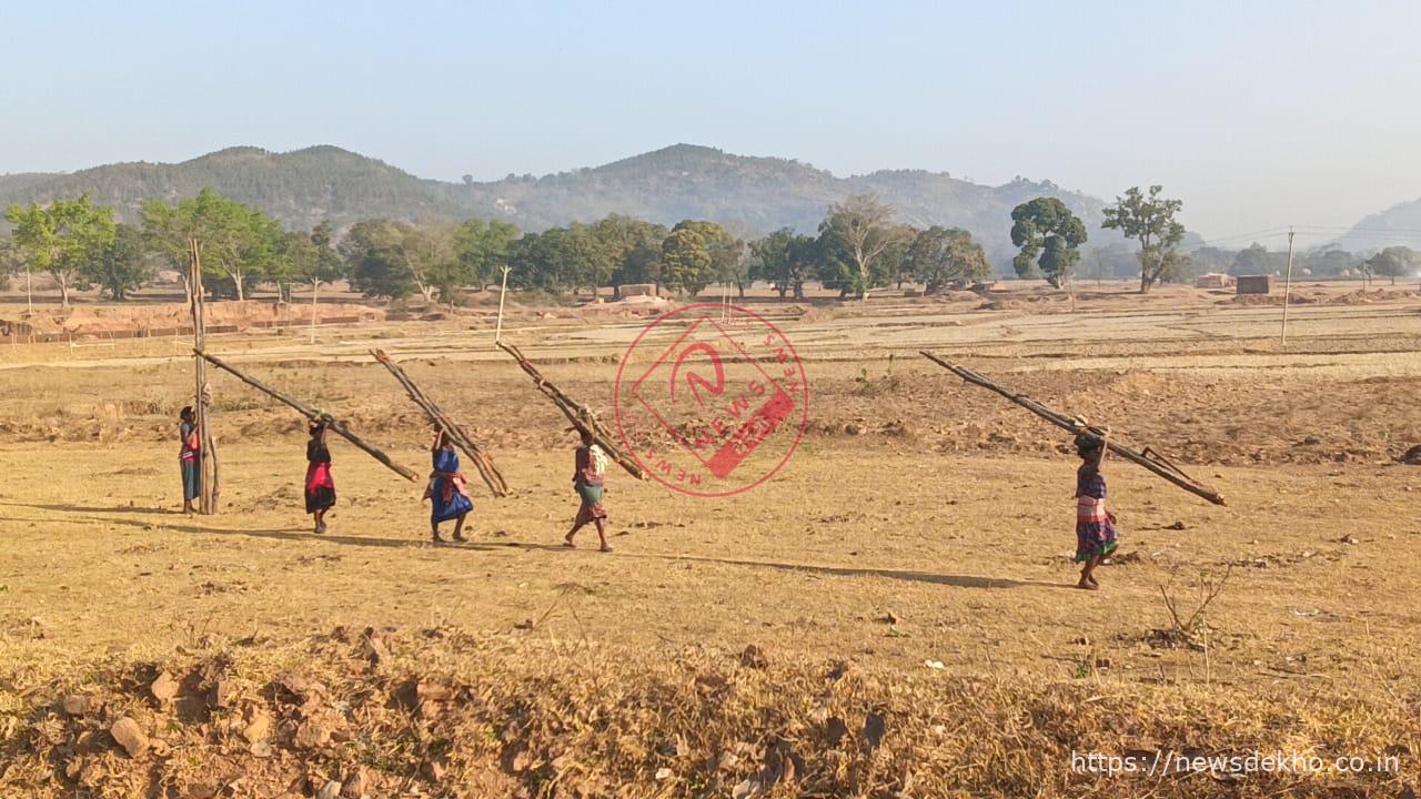 गोविंदपुर पंचायत के जंगलों में अवैध साल कटाई से बिगड़ रहा पर्यावरणीय संतुलन, ग्रामीणों में चिंता