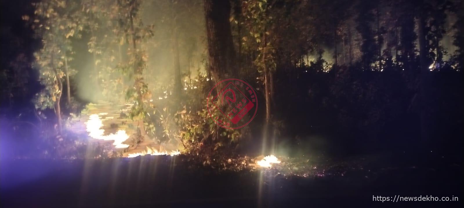 जारी प्रखंड के जंगलों में भीषण आग, भीखमपुर पुल के पास यातायात प्रभावित