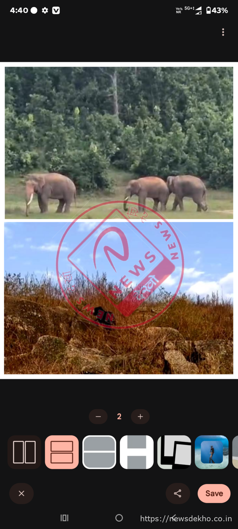 महुआ सीजन में जंगलों में बढ़ा खतरा, चैनपुर क्षेत्र में जंगली जानवरों की सक्रियता से दहशत