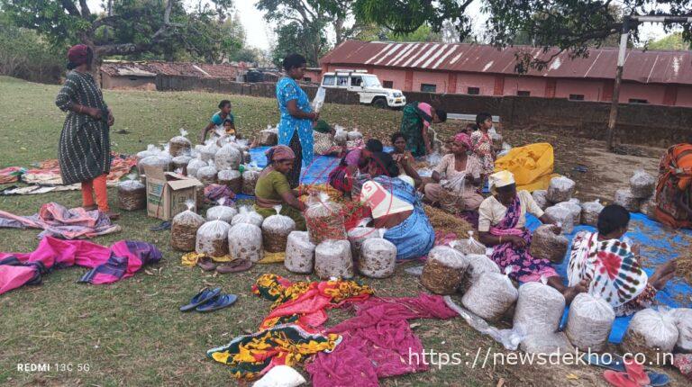 मशरूम खेती से बदली औरापाट गांव की तस्वीर, आत्मनिर्भरता की मिसाल बना मॉडल