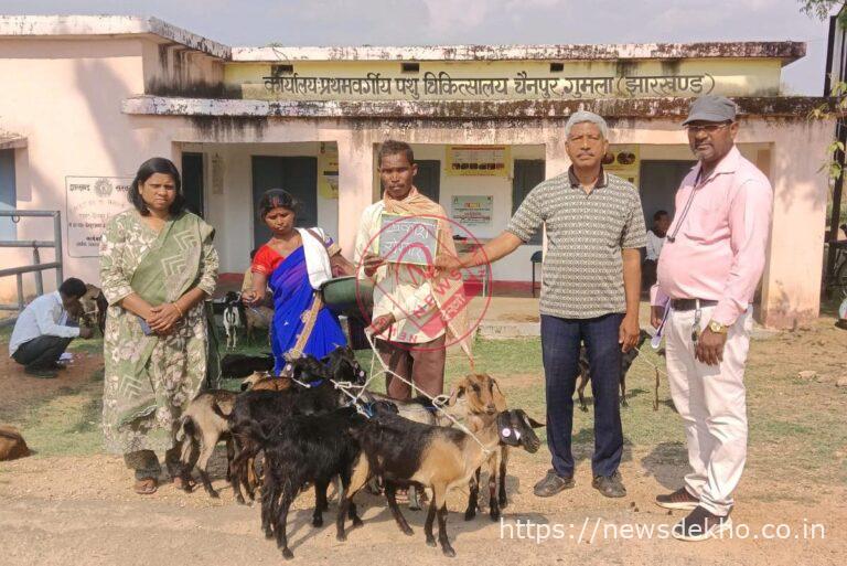 चैनपुर में पशुधन विकास योजना के तहत बकरा-बकरी वितरण, ग्रामीणों को मिला स्वरोजगार का सहारा
