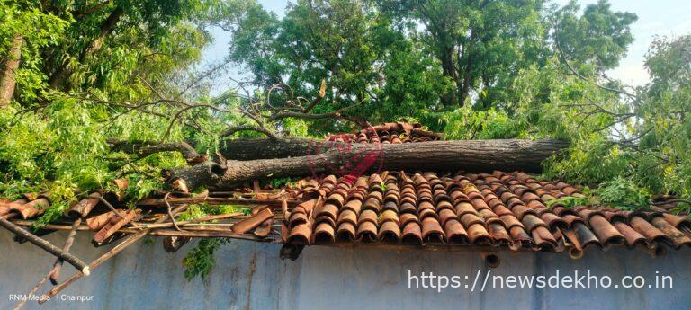 चैनपुर में आंधी-तूफान का कहर, कई घर क्षतिग्रस्त, सड़क पर पेड़ गिरने से आवागमन बाधित